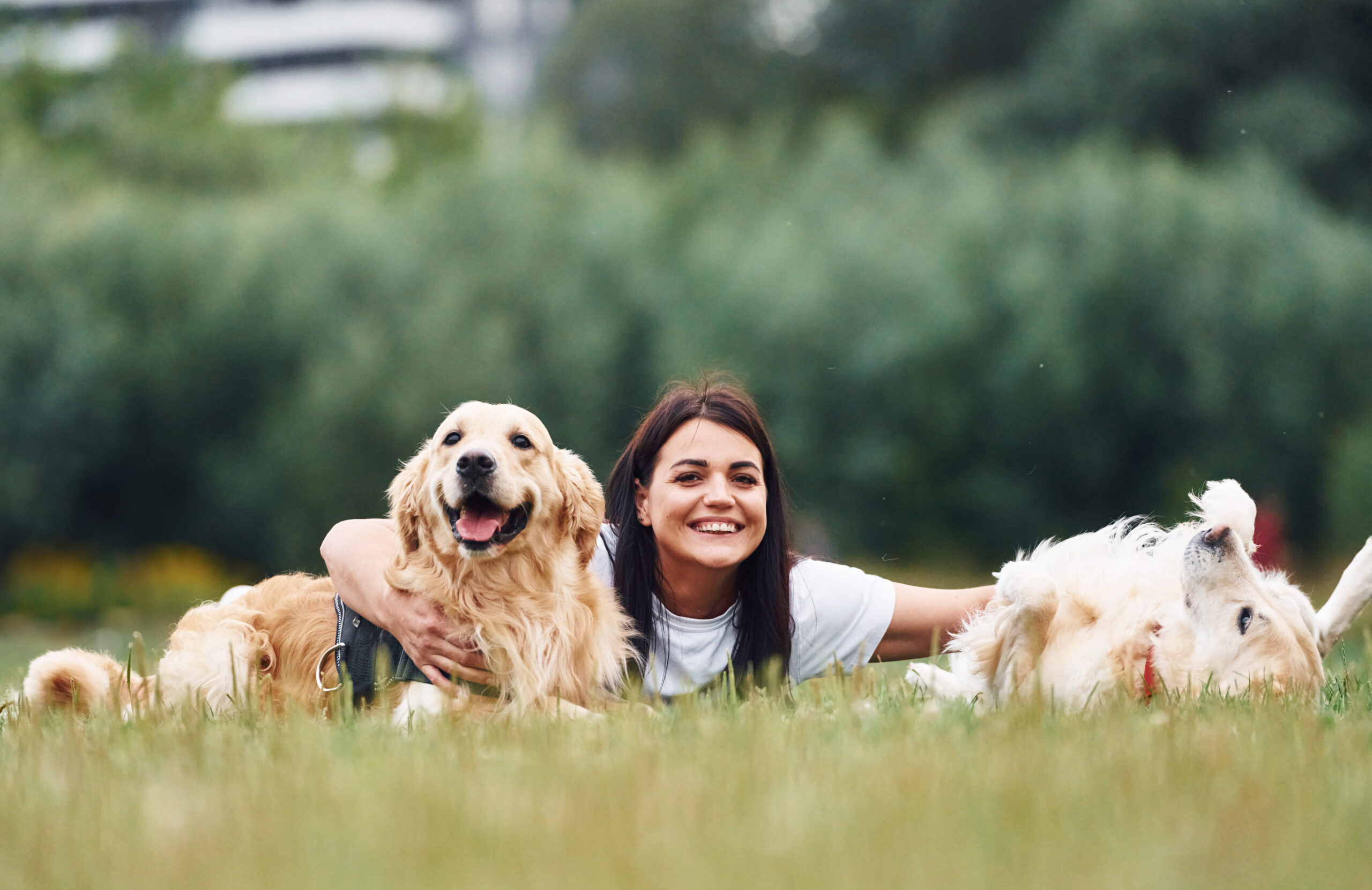 National Pet Day celebrations