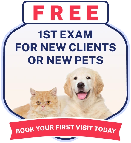 Free 1st Exam for New Pets