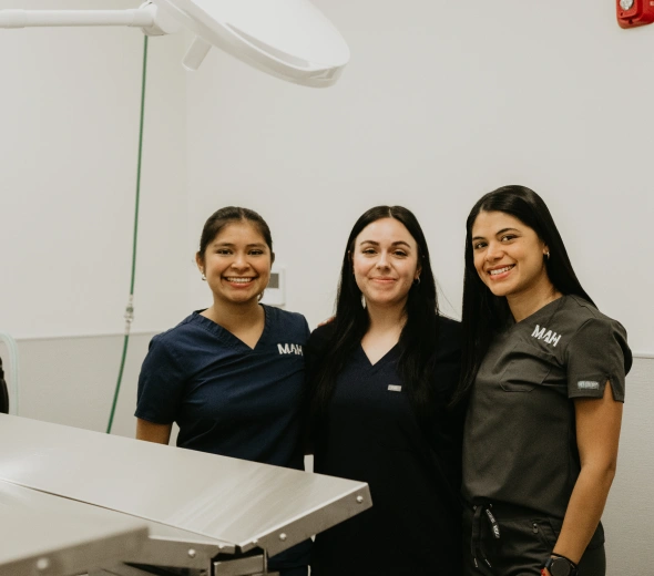 Safe, Skilled Surgical Care for Your Pet