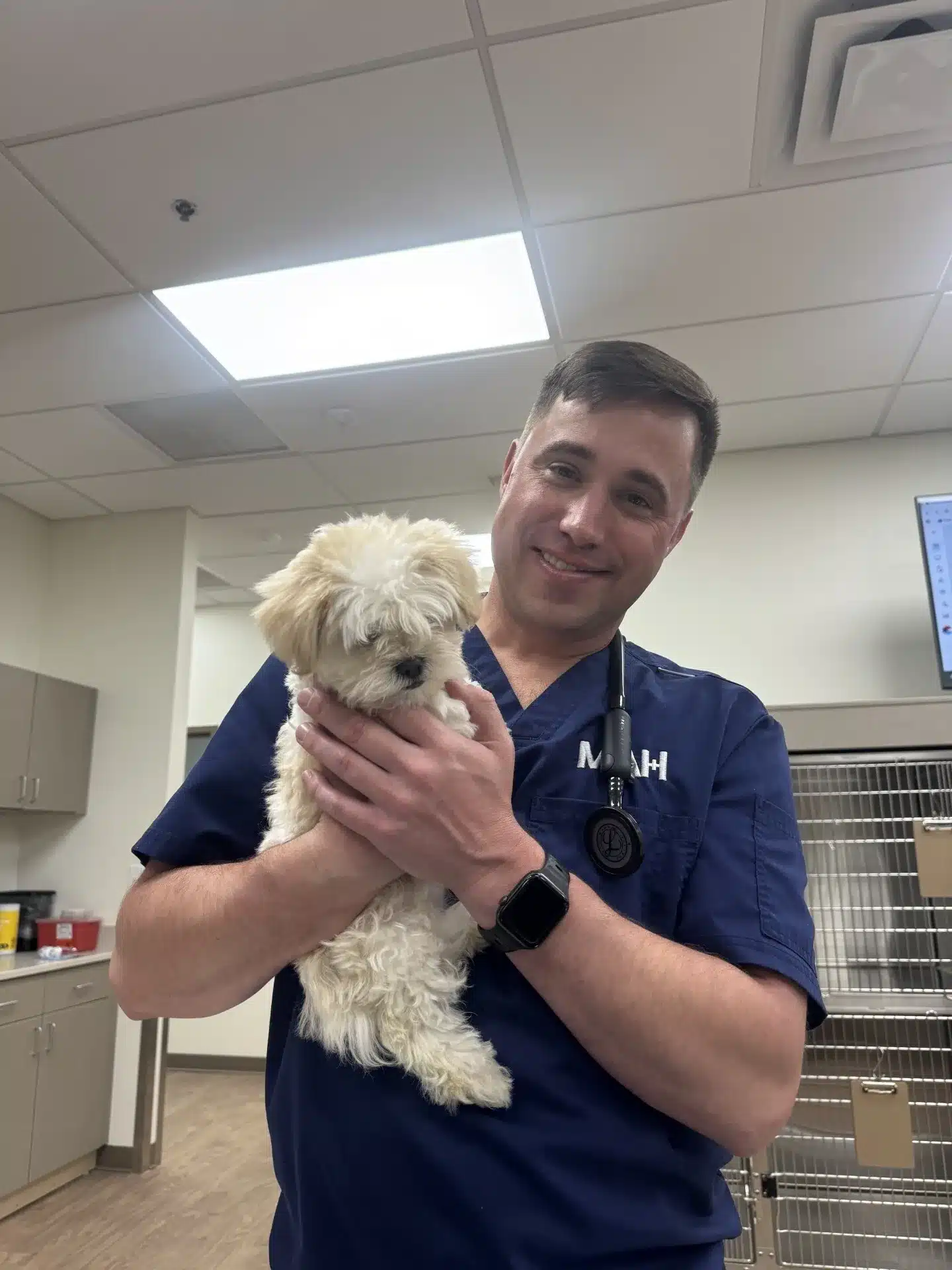 veterinarian of Milton Animal Hospital